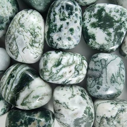 Tree Agate